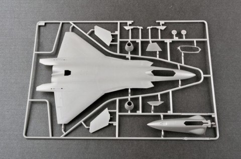 Chinese J-20 Mighty Dragon Trumpeter