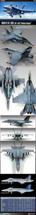 USN F/A-18E VFA -143 Pukin Dogs Academy