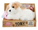 Maskotka interaktywna SCRUFFIES Toby i przyjaciel Cobi