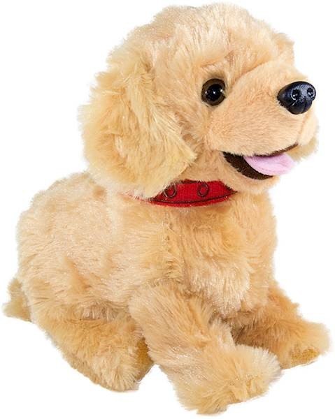 Pies reagujący na komendy Labrador Madej