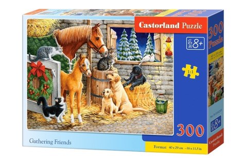 Puzzle 300 elementów, Przyjaciele Castor