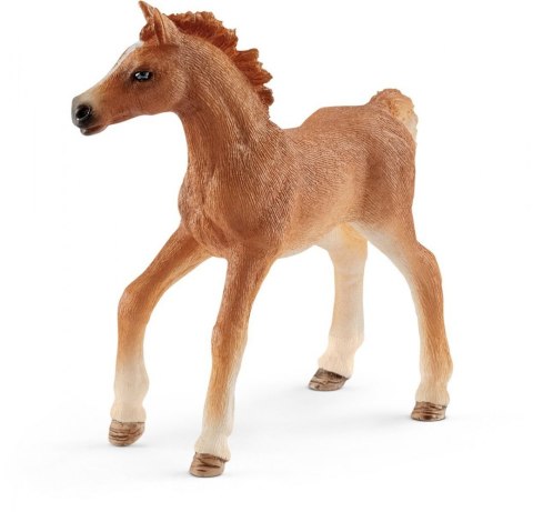 Źrebię z kocem Schleich