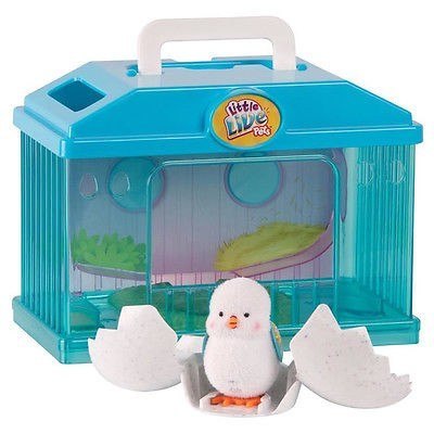 Little Live Pets Kurczaczek z domkiem Cobi