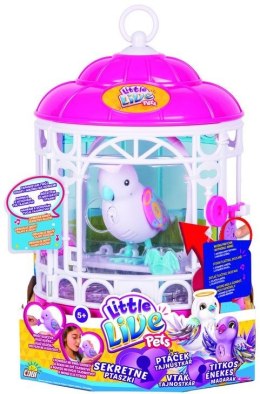 Little Live Pets Sekretny Ptaszek, Aniołek Cobi