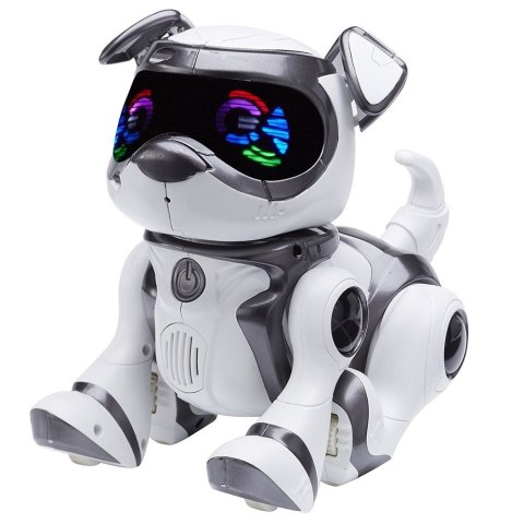 Teksta Robopiesek sterowany głosem, black Cobi