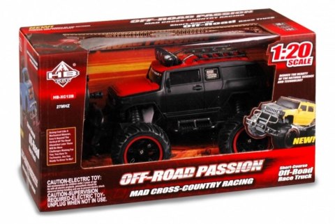 Auto R/C Artyk