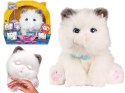 Maskotka Little Live Pets - Kicia mój wymarzony kotek Cobi