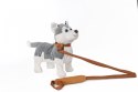 Pies chodzący Husky szary Madej