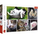 Puzzle 1500 elementów Kocie sprawy - Kolaż Trefl