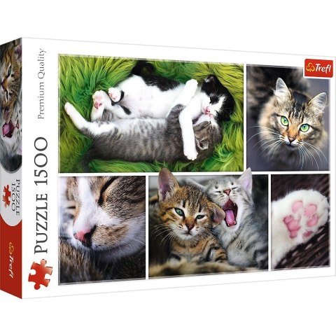Puzzle 1500 elementów Kocie sprawy - Kolaż Trefl