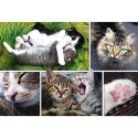 Puzzle 1500 elementów Kocie sprawy - Kolaż Trefl