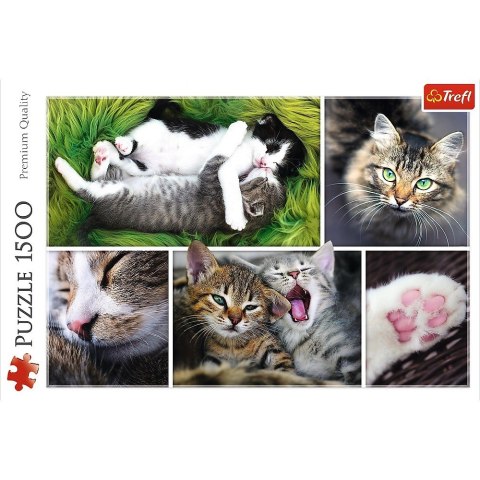 Puzzle 1500 elementów Kocie sprawy - Kolaż Trefl