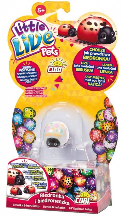 Little Live Pets Biedronka i biedronczeka Cobi