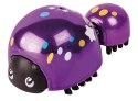 Little Live Pets Biedronka i biedronczeka Cobi