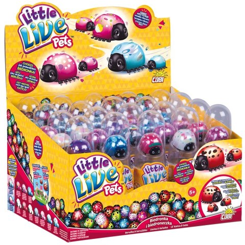 Little Live Pets Biedronka i biedroneczka Cobi