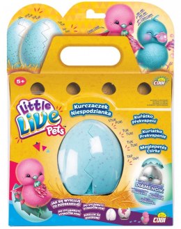 Little Live Pets Kurczaczek niespodzianka róż/turkus Cobi