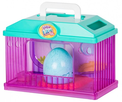 Little Live Pets Kurczaczek z domkiem Cobi