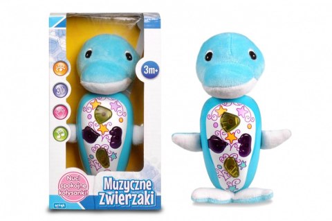 Zabawka muzyczna - Delfinek Artyk