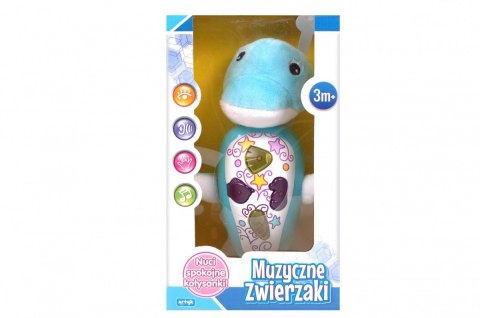 Zabawka muzyczna - Delfinek Artyk