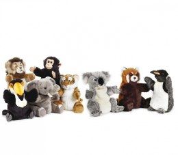 Pacynka National Geographic Koala 26 cm Dante