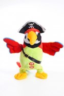 Papuga pirata duża Madej