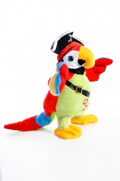 Papuga pirata duża Madej