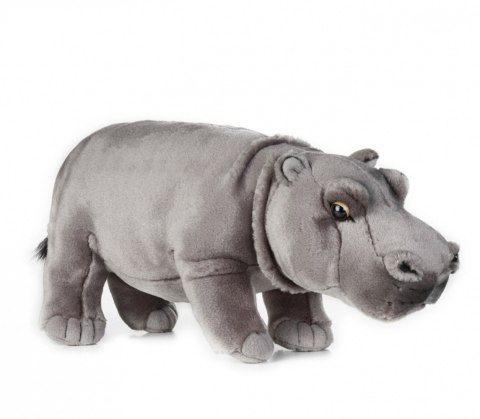Pluszak National Geographic Hipopotam 31 cm Dante