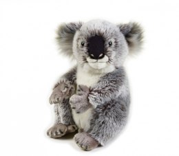 Pluszak National Geographic Koala 26 cm Dante