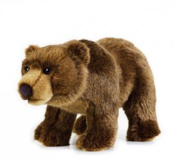 Pluszak National Geographic Niedźwiedź Grizli 30 cm Dante