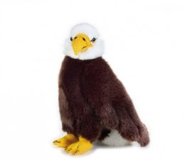 Pluszak National Geographic Orzeł 26 cm Dante