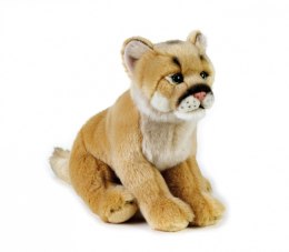 Pluszak National Geographic Puma 25 cm Dante