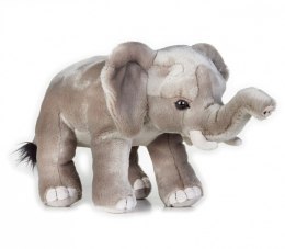 Pluszak National Geographic Słoń afrykański 25 cm Dante