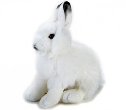 Pluszak National Geographic Zając polarny 25 cm Dante