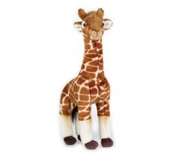Pluszak National Geographic Żyrafa 35 cm Dante