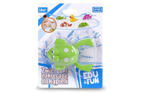 Zwierzaki nakręcane do kąpieli EDU&FUN - Żaba Artyk