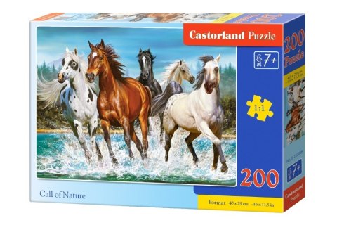 Puzzle 200 elementów - Konie zew natury Castor