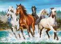 Puzzle 200 elementów - Konie zew natury Castor