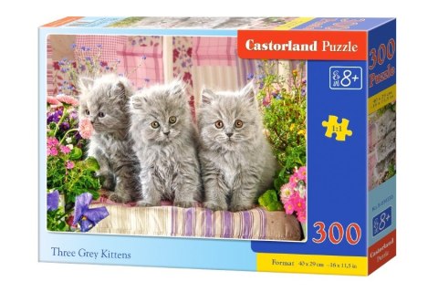 Puzzle 300 elementów Trzy szare kotki Castor