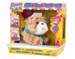 Maskotka Little Live Pets - Rollie piesek całusek Cobi