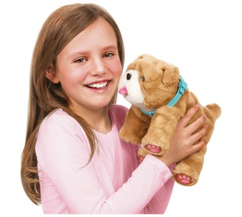 Maskotka Little Live Pets - Rollie piesek całusek Cobi