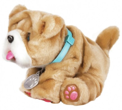 Maskotka Little Live Pets - Rollie piesek całusek Cobi
