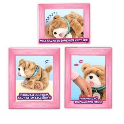 Maskotka Little Live Pets - Rollie piesek całusek Cobi