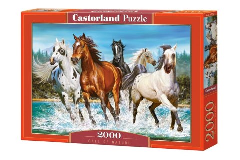 Puzzle 2000 elementów - Zew natury Castor