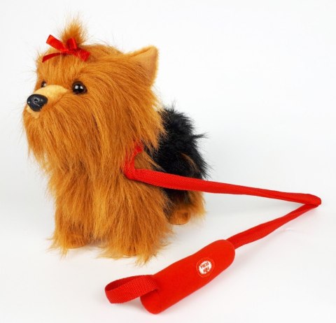 Maskotka Piesek Yorkshire Terrier chodzący na smyczy 27 cm Madej