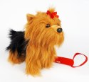 Maskotka Piesek Yorkshire Terrier chodzący na smyczy 27 cm Madej