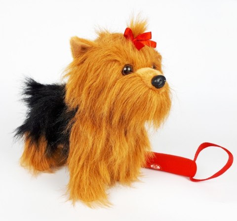 Maskotka Piesek Yorkshire Terrier chodzący na smyczy 27 cm Madej