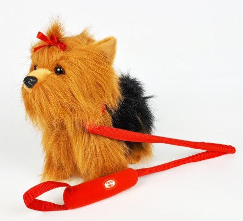 Maskotka Piesek Yorkshire Terrier chodzący na smyczy 27 cm Madej