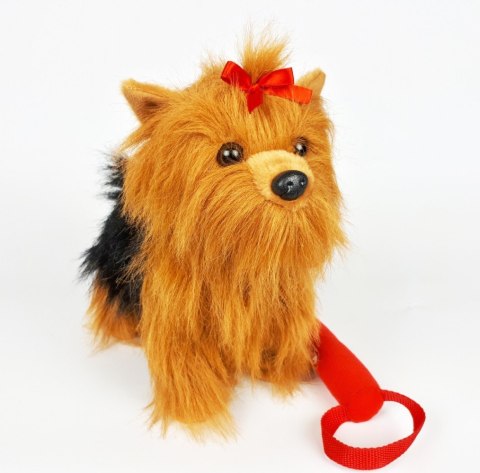 Maskotka Piesek Yorkshire Terrier chodzący na smyczy 27 cm Madej