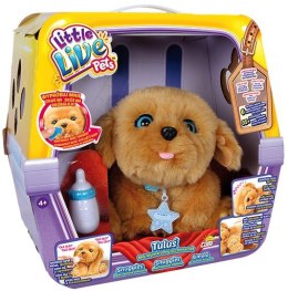 Maskotka interaktywna Little Live Pets Mój wymarzony przyjaciel Tuluś Cobi