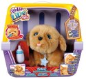 Maskotka interaktywna Little Live Pets Mój wymarzony przyjaciel Tuluś Cobi